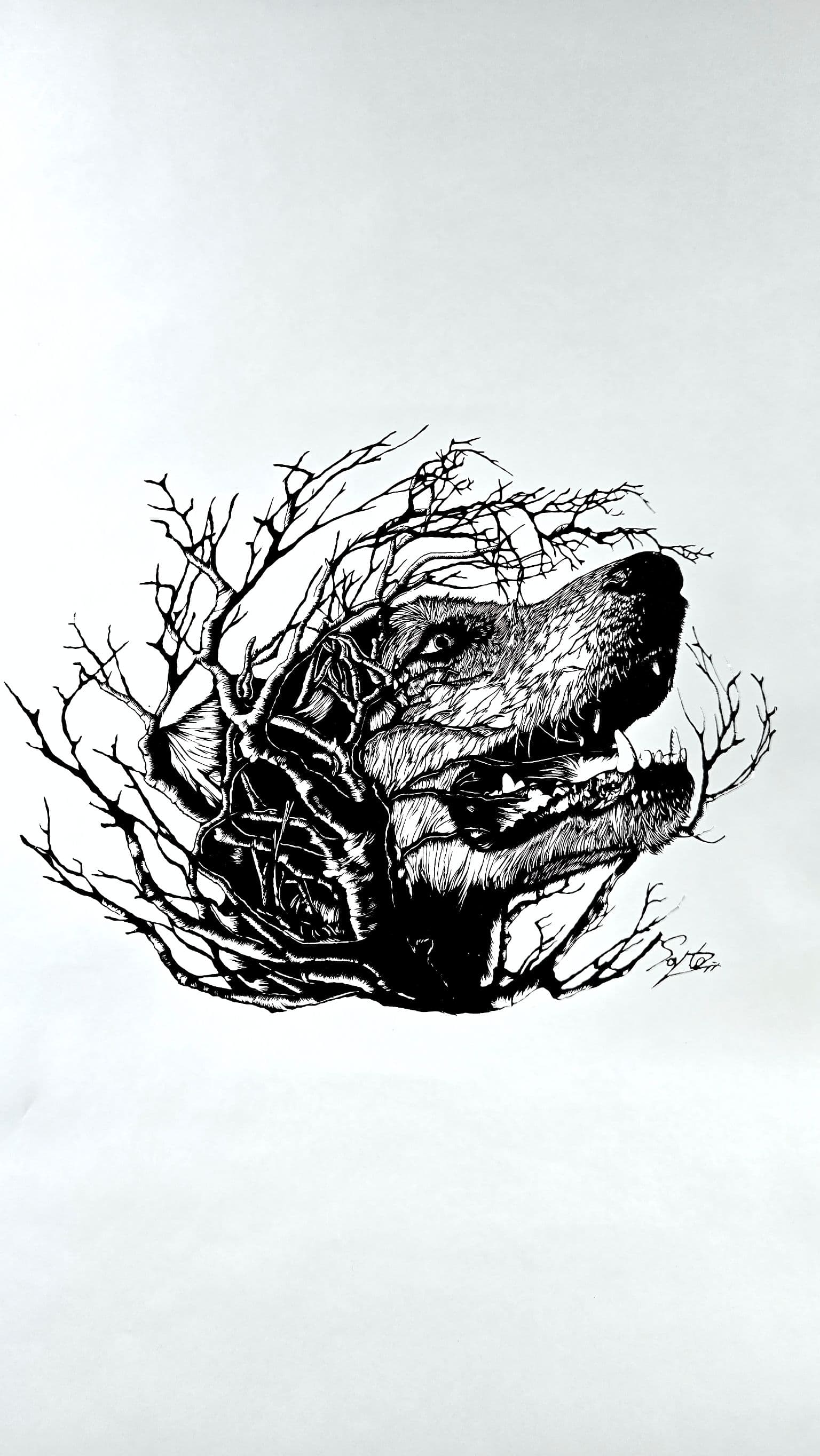 犬