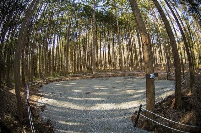 ポツンと森の中サイト