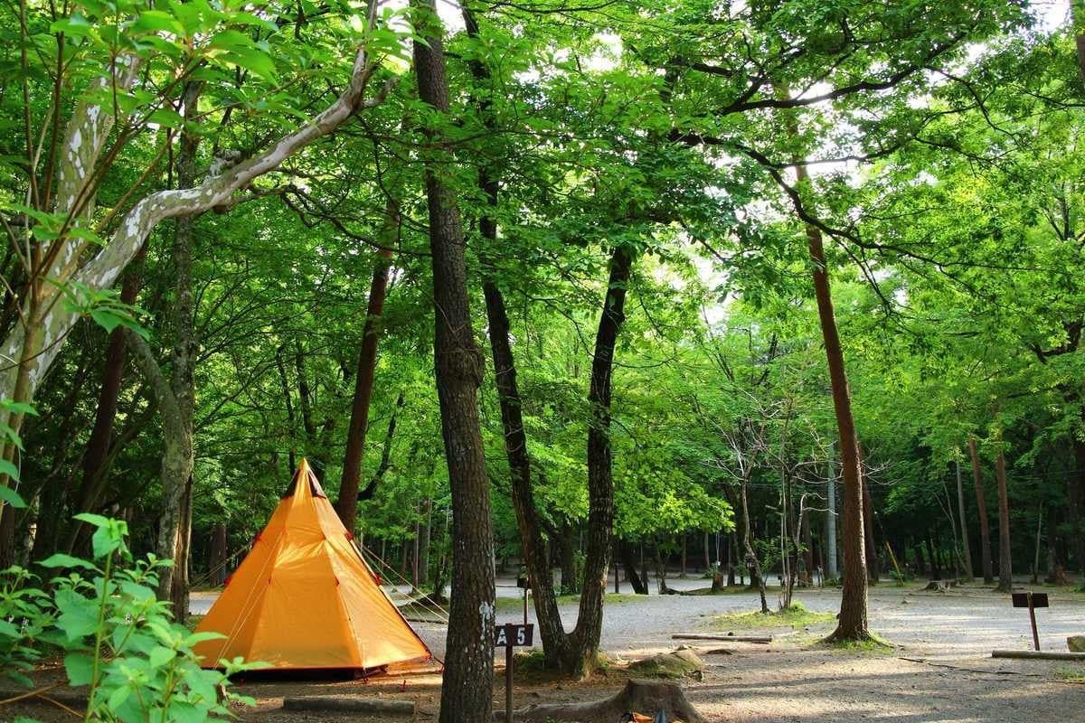 べるが尾白の森キャンプ場